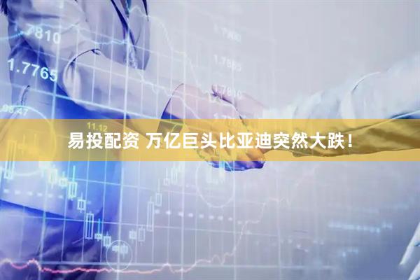 易投配资 万亿巨头比亚迪突然大跌！