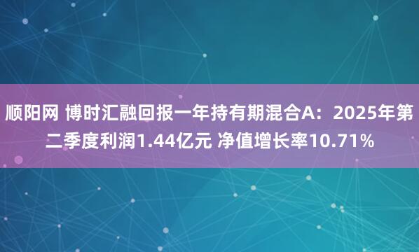 顺阳网 博时汇融回报一年持有期混合A：2025年第二季度利润1.44亿元 净值增长率10.71%