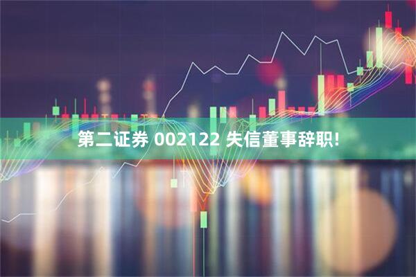 第二证券 002122 失信董事辞职!