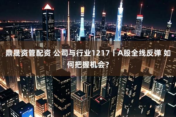 鼎晟资管配资 公司与行业1217丨A股全线反弹 如何把握机会?