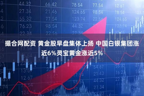 撮合网配资 黄金股早盘集体上扬 中国白银集团涨近6%灵宝黄金涨近5%