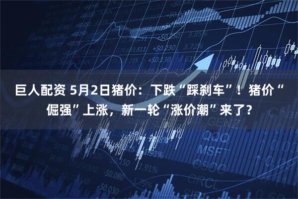 巨人配资 5月2日猪价：下跌“踩刹车”！猪价“倔强”上涨，新一轮“涨价潮”来了？